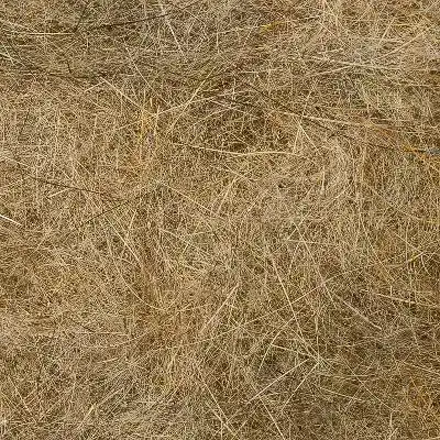 Natural Fur