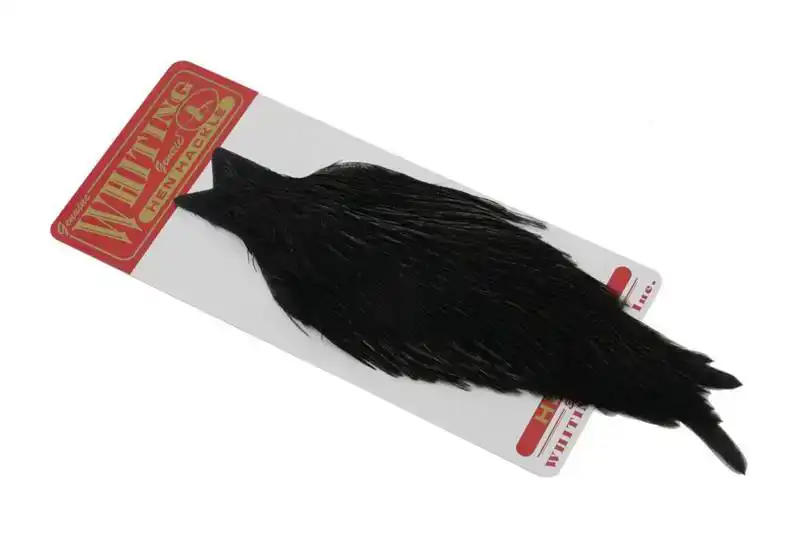 Whiting Hen Cape Black