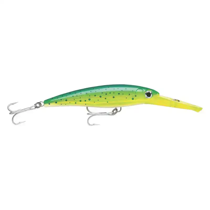 X Rap Magnum - 16 cm - D
