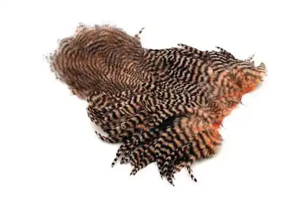 American Hen SH/C Grizzly dyed Salmon