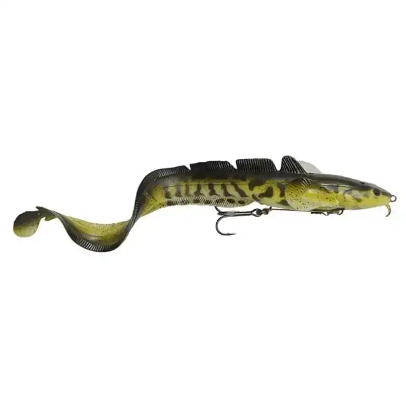 3D Shallow Burbot - Burbot