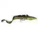 3D Shallow Burbot - Burbot