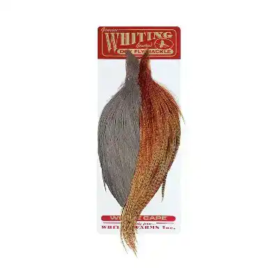 Combo Starter - Dun/Barred Dark Ginger