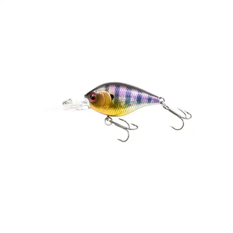 Kaishin Crank 45SR - Aurora Gill