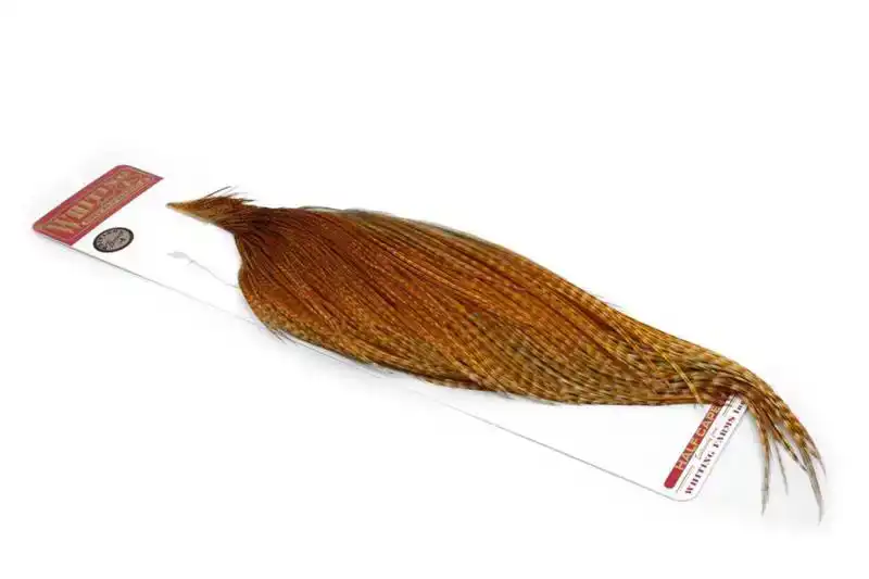 Whiting Bronze 1/2 Cape Barred Dark Ginger