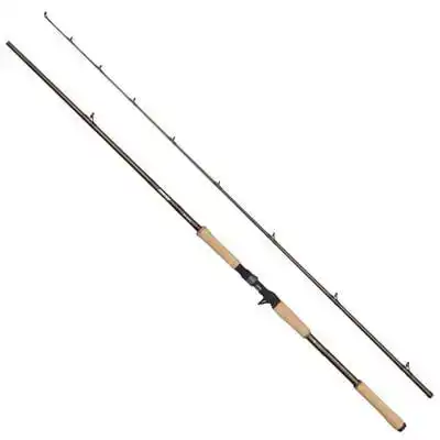 Beast Pro Casting Rod