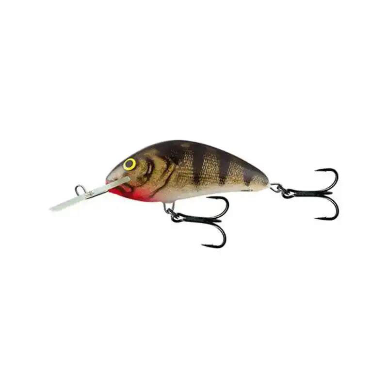 Hornet 9 - Mirror Carp