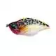 Maori - Speckled Blue Gill