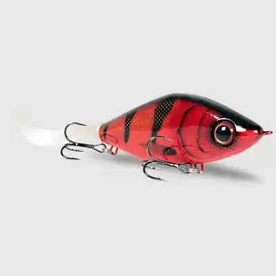 Guppie Junior