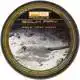 Silk Ray - 45 lb - Silt