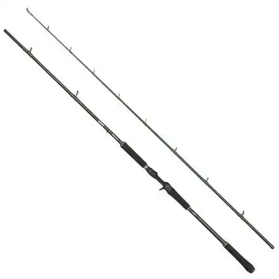 Beast X Casting Rod