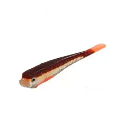 Urban Sense Micro Tail