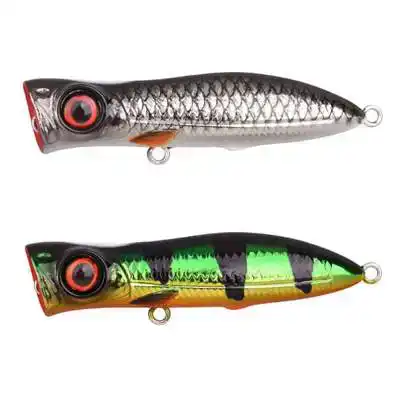 Iris Pop - 7,5 cm - Vairon