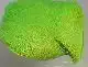 Deer Belly Hair - Fluo Chartreuse
