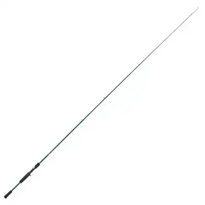 Rayfin Casting - RAYC213MF