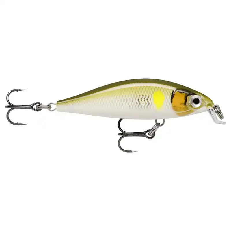 X Light Minnow - AYU