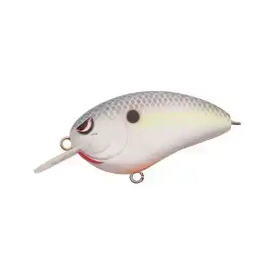 Little John MD - Chart. Black Back