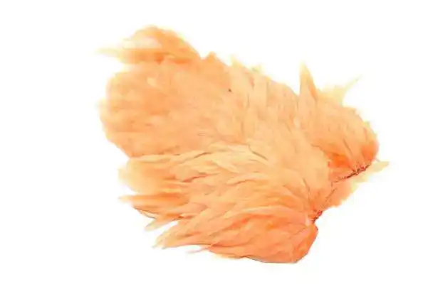 Whiting Rooster SH/C