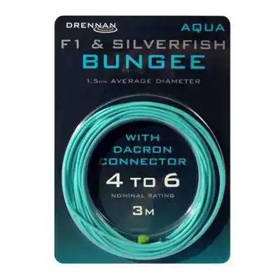 F1 & Silverfish Bungee