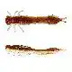Odonata Ned Creaturebait - Brown Shiner