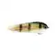 Clydesdale Streamer - Gold Perch