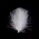 CDC Feathers Ultra Select XL - 01 White