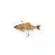 3D Roach RTF Swim - 14 cm - 40 Gramm - Albino