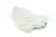 Bird Fur White
