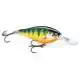 Shad Rap Elite - 5,5 cm - GDCP