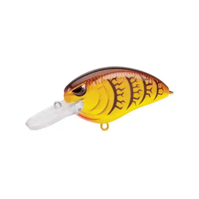 Little John MD Type-R - Citrus Shad