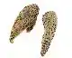 Pheasant Hen Ringneck Whole Wings