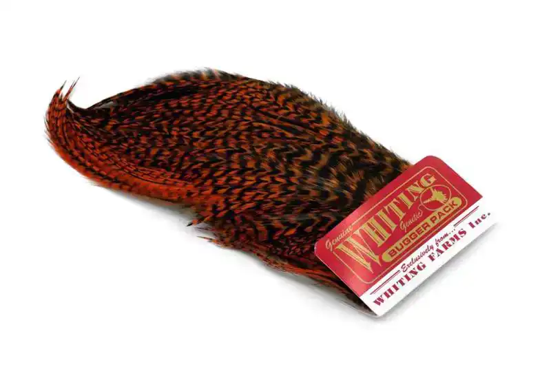 Whiting Bugger Pack Grizzly dyed Burnt Orange