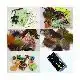 Premium Fly-Tying Kit