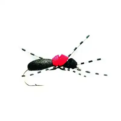Hi-Vis Black Foam Ant