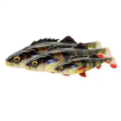 4D Perch Shad