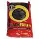 Black Earth - Standard