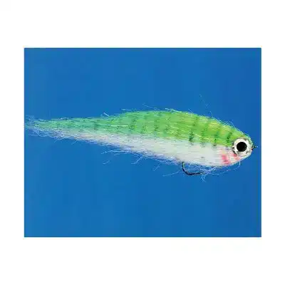 TR Baitfish