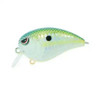 Fat John - 5 cm - Citrus Nasty