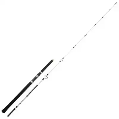 Salty Beast Mega Jig Spin Rod - 2,10 m - bis 450 Gramm
