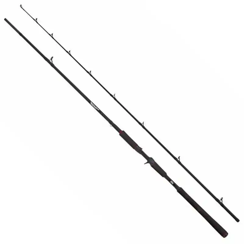 Beast Casting - 2,13m - 20/70 gram