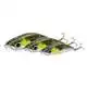 3D Sticklebait Pencil - 5,5 cm - 7 Gramm - Ayu Green Silver