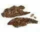 Woodcock Whole Wings