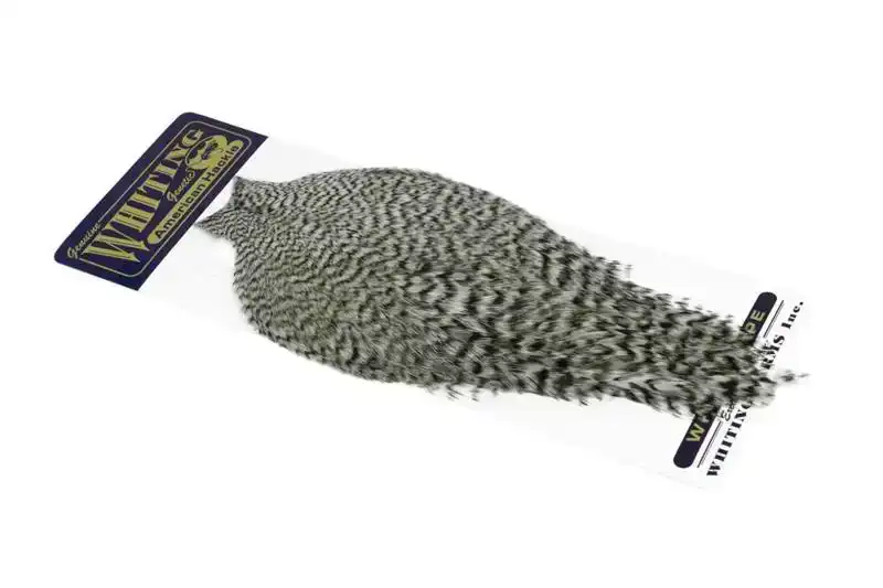 American Rooster Cape Grizzly