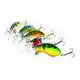 Bumblebee - Speckled Blue Gill