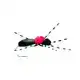 Hi-Vis Black Foam Ant - Haken: 16