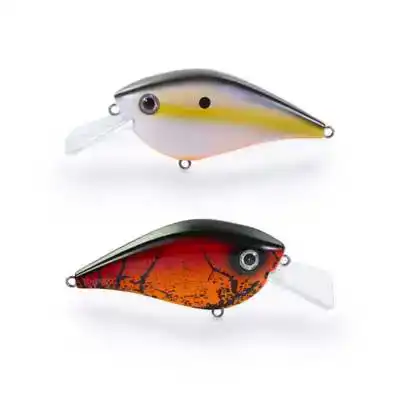 The Dude - Gold Tiger