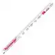 Fish Measuring Ruler