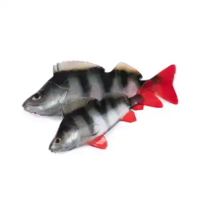Ultra Natural Perch Fillet