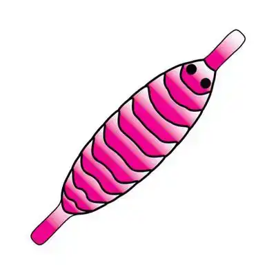 Pro Gammarus Shell Back
