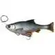 4D Line Thru Pulse Tail Roach - 18 cm - Slow Sink - Fire Tiger